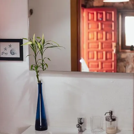 Papaya Apartment