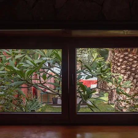 Papaya La Azocar Apartamento
