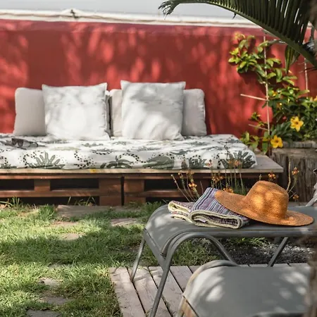 Papaya La Azocar Appartement Punta Del Hidalgo